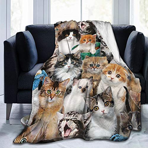 �u�����P�b�g �ѕz �L�̕i��p�b�N���ꂽ�L �t�����l���y�ʃT�[�}���V���O���u�����P�b�g�� �x�b�h�p �\�t�@�[�p �|���ѕz �_�炩�����G�� �􂦂� -150x125cm