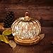 Romingo Mercury Glass Pumpkin Light with Timer for Halloween Pumpkin Decorations Fall and Thanksgiving Decor,Rose Gold, 5.5 inches