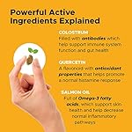 PetHonesty Dog Allergy Relief Immunity Chews – Omega-3 Salmon Fish Oil Supplement, Probiotics for Dogs, Seasonal Allergies, Skin + Coat Health, Intermittent Itchiness (Peanut Butter) - Image 4