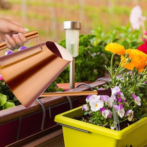 Solution d'arrosage efficace et polyvalente pour plantes de jardin - 5