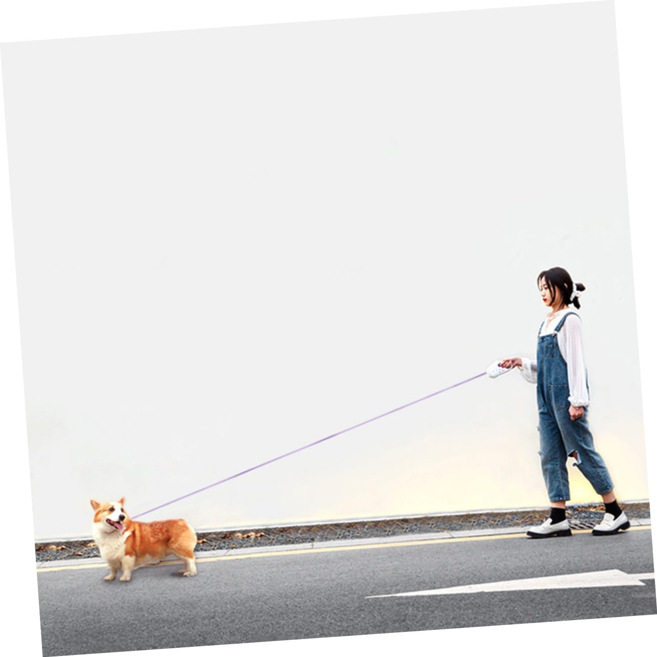 BESPORTBLE guinzaglio per animali domestici piccolo guinzaglio retrattile per cani legare il cavo e il paletto del cane guinzagli allungabili guinzaglio regolabile guinzaglio per cani AbS