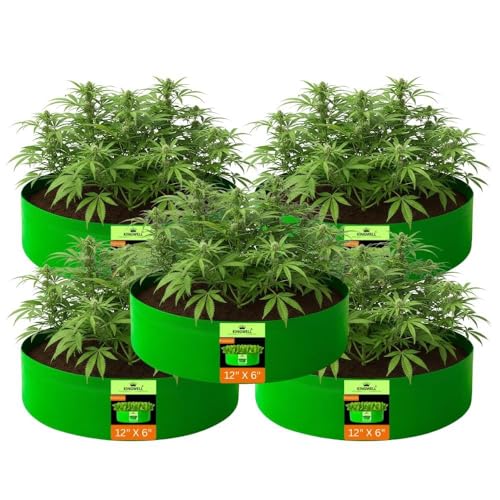 Image of Kingwell grow bags 12x6 inch pack of 5 Grow Bag For Terrace Garden Leafy Vegetable Plant Grow Bags Fruits Growing Containers For terrace Gardening