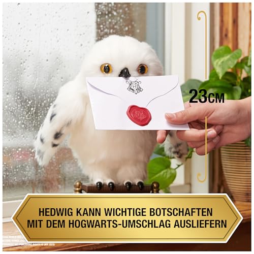 Eulen Geschenke für Kinder
