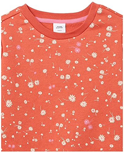 Image of Amazon Essentials Girls and Toddlers' Relaxed Fit Fleece Crewneck Pullover Sweatshirts, Pack of 2