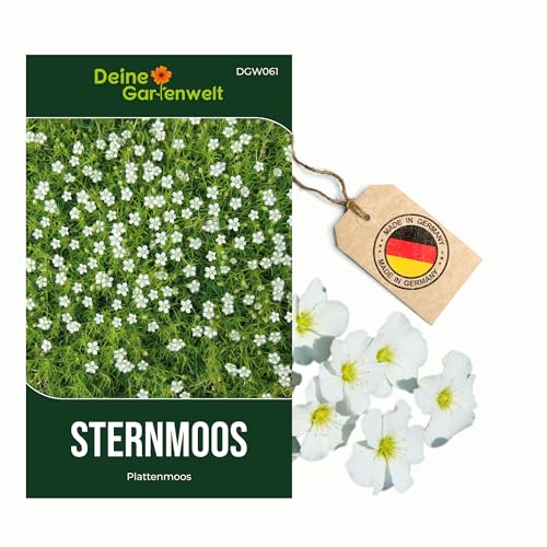 Sternmoos Mastkraut Plattenmoos Samen - Sagina subulata - Sternmoossamen - Saatgut für 400 Pflanzen