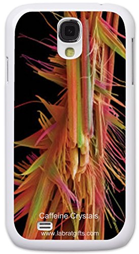 Amazon.com: Lab Rat Gifts SS4006CASE Plastic Amazing Exclusive SEM ...