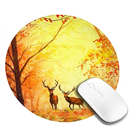 DADABULIU }EXpbh ~` ` G H gt  X Q[~O S w}EXΉ ~ ϋvǂ  킢 h TCo[JtF ItBXœK Kxȕ\ʖC aF20cm