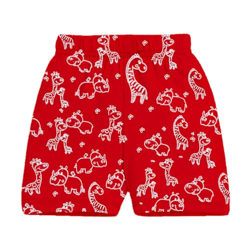 Image of Kuchipoo Boys Regular Fit Cotton Shorts - Pack of 5