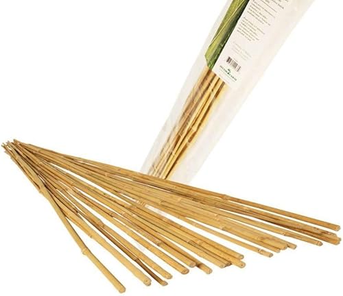 Miniatura 4 de Estaca de bambú natural Hydrofarm HGBB2-2 paquete de 25 unidades