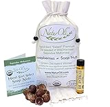 NaturOli Soap Nuts/Soap Berries - 1-Lbs organic (240 loads) + 18X Travel Bottle! Select Seedless - 1 Wash Bag, 8-pg info, Tote Bag. Organic Laundry Soap