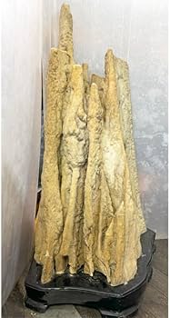 Amazon | 大自然が作り出した唯一無二の神秘な石 鍾乳石 【7】 高さ約