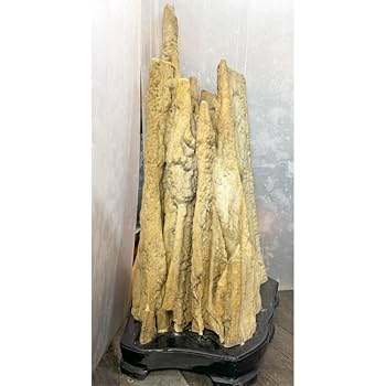 Amazon | 大自然が作り出した唯一無二の神秘な石 鍾乳石 【7