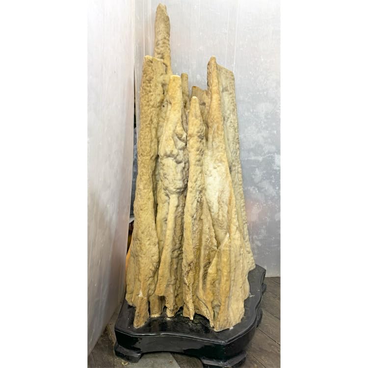 Amazon | 大自然が作り出した唯一無二の神秘な石 鍾乳石 【7