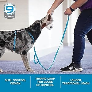 Blue 9 reflective dog leash double attachment 6 foot adjustable lead with 3m reflective stitching for obedience running and agility training made in the usa smallmedium blue   cucciolini doodles