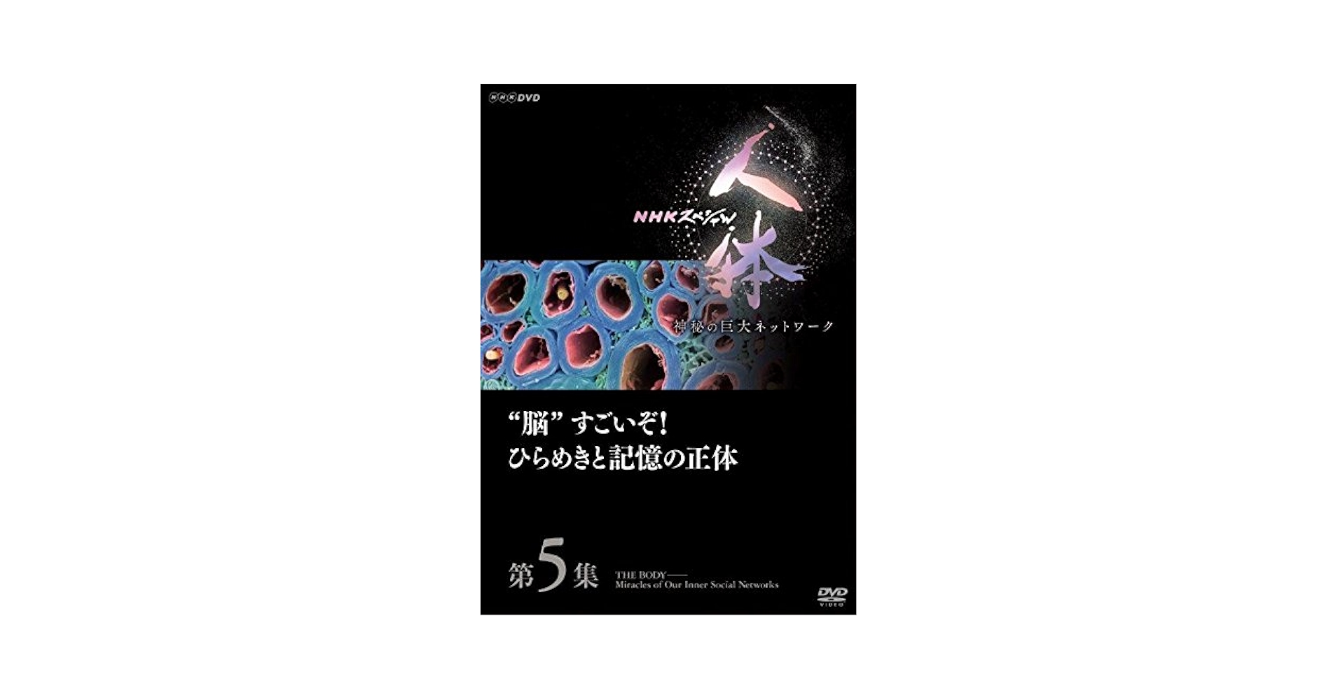 NHKスペシャル 人体 神秘の巨大ネットワーク 第5集 脳すごいぞ! ひらめきと記憶の正体 [DVD] Amazon.co.jp: NHKスペシャル 人体 神秘の巨大ネットワーク 第5