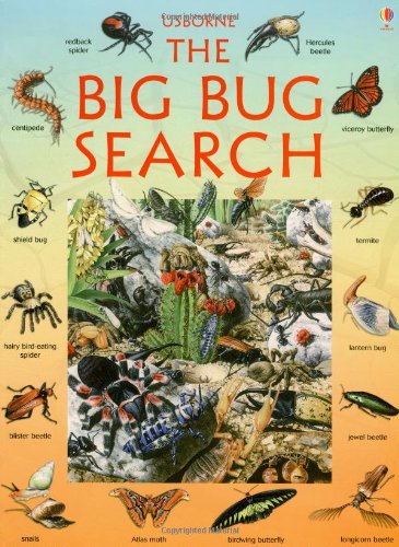 The Big Bug Search