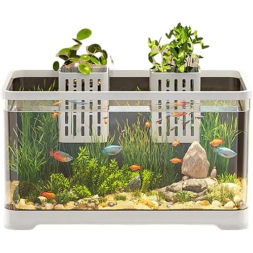 EnergyDeer?� ��㐅�����r���O���i�����^���ԉƒ�p�T (55*30*29.4CM,�z���C�g) - �A�N�������A�N�A���E�� - ���B���@���E�� - ���v�g�A�N�A���E�� - �y�b�g/�e�����E�� - �T�J�i�p (���F55*30*29)