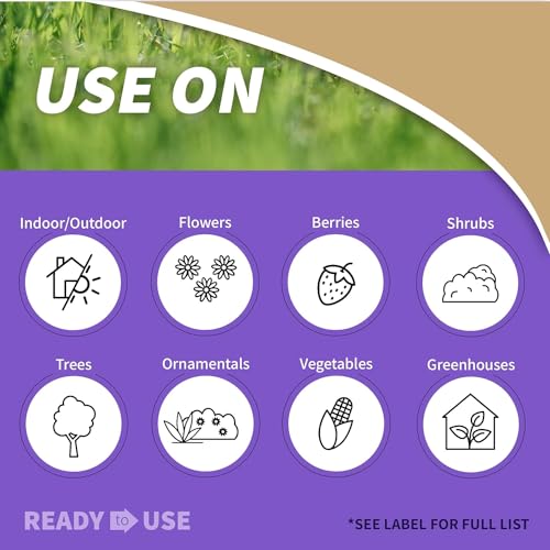 Bonide Insecticidal Soap, 32 oz Ready-to-Use Spray Multi-Purpose Insect Control for Organic Gardening - Indoor and Outdo