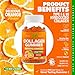 Collagen Peptides Gummies with Biotin, Vitamin C & E for Women & Men - Premium Hydrolyzed Collagen Type I & III for Hair, Skin & Nails Support - Gluten-Free, Non-GMO - 60 Gummies (30 Servings)