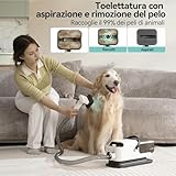 Zoom IMG-1 puraluce aspirapolvere per peli di Zoom IMG-1 puraluce aspirapolvere per peli di