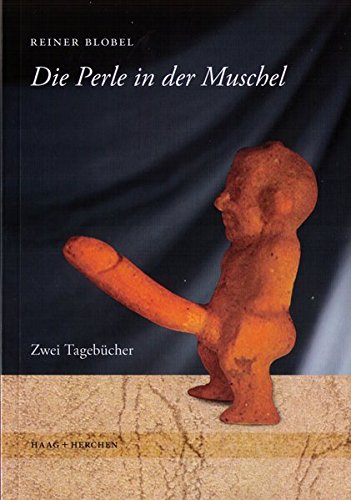 Preisvergleich Produktbild Die Perle in der Muschel