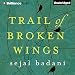 Trail of Broken Wings