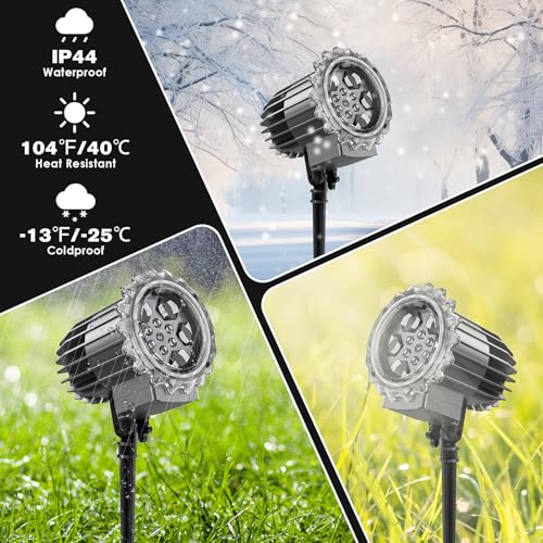 Photo complémentaire