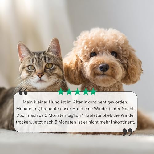 Sensipharm Inconti Stop - Inkontinenz & Blasenschwäche bei Katzen, kleinen Hunden, Meerschweinchen & Kaninchen - pflanzliche Blasen- & Harnwegshilfe bei Harnverlust - 90 Tabletten à 250 mg