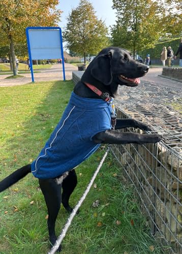 iEnergy™ OSC isolierende und warme Outdoor-Hundejacke mit Fleece-Innenfutter, windabweisender, ultraleichter und reflektierender Hundemantel, Ganzjahres-Hundeviespullover (Blau Groß)