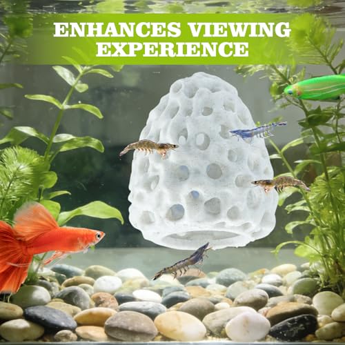Image of Shrimp Dome Hide, Shrimp Hides for Aquarium, Betta Fish Hideout with Suction Cup, Betta Habitat Tank Ornament Accessories, Aquarium Decor for Small Fish Guppy Hiding Resting (White)