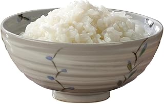 令和7年産 新米 森のくまさん 無洗米 10kg 5kg×2袋《12月中旬-2月末頃出荷》
