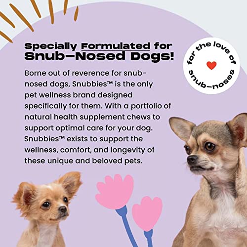 Snubbies Hip & Joint Support And Cognitive & Immune Support Soft Chews, Snub-Nosed Dog Health Supplements Bundle #TOP5