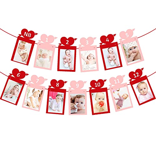 Image of FestikoValentine's Day 12 Months Photo Banner Heart Theme Garland Pink Red Valentine's Day 1st Birthday Party Newborn First Year Decor