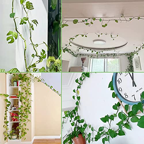 50 stuks klimplanten, bevestiging, wandplantenclips, zelfklevende plantenklemmen, plantenclips voor klimplanten, muur… - Image 8