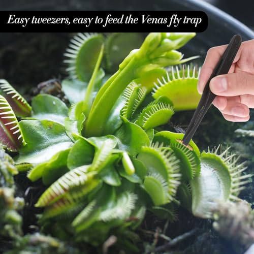 JIYIN 8 Stück Pinzette Kunststoff, Antistatische Kunststoff Präzisionspinzette Pinzette Basteln für Schmuckherstellung Laborarbeiten Fütterung Haustier