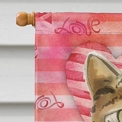 Drapeau chat du Bengale grand format Caroline's Treasures CK3045CHF multicolore