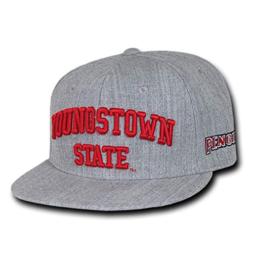 NCAA Game Day Fitted Cap College Caps - Youngstown State Univ, 7 3/8
