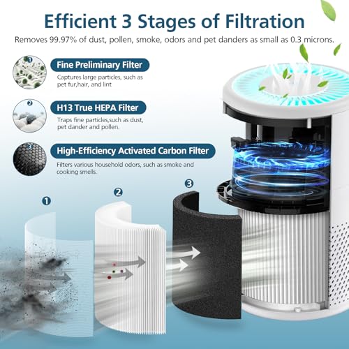 image for WILERDA B-D02L/M05 Replacement Filter, Compatible with MOOKA B-D02L & 