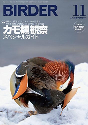PDFダウンロード BIRDER(バーダー)2015年11月号 カモ類観察スペシャルガイド バイ