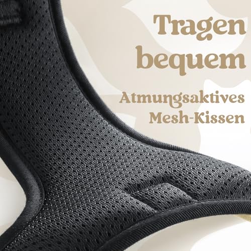 rabbitgoo Hundegeschirr Kleine Hunde, Verstellbare Geschirr Hund ohne Zug & Würgen, Anti Zug hundegeschirr mit Griff, weich Gepolsterte Reflektierende Brustgeschirr, Beige M