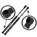 Qty (2) 10mm Nylon (short) End Lift Supports 24" Extended x 90lbs