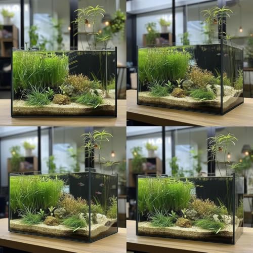 Image of 3 Gallon Glass Fish Tank Cube, Small Aquarium Fish Bowl for Betta Goldfish Snails Shrimp Aquatic Planting, Easy to Maintain Ultra Clear Rimless Design for Desktop Small Spaces