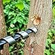 Bushcraft Überlebenswerkzeug, verlängerter Handschneckenschlüssel Scotch Eye manueller Handschneckenbohrer für Camping, Unterschlupf, Grill, kleine Bänke, Bushcrafting und Outdoor-Rucksackreisen…