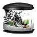 Aqueon LED Minibow Aquarium Starter Kits with LED Lighting, 1 Gallon, Black