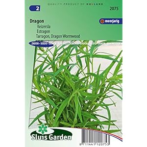 Dragon, Dragon Alsem – Kruidenzaad
