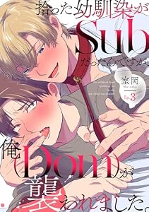 拾った幼馴染がSubだったんですが、俺が襲われました。 Ep.3