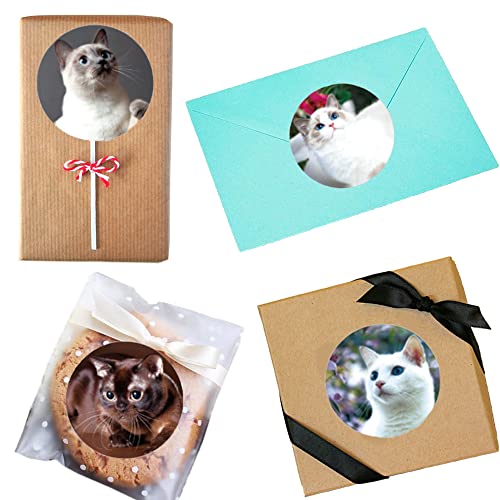 Hohamn 1.5" Cat Stickers For Kids Teachers, 500 Pcs Cat Kitten Stickers For Toddlers Birthday Party, School Reward, Giveaways #TOP4