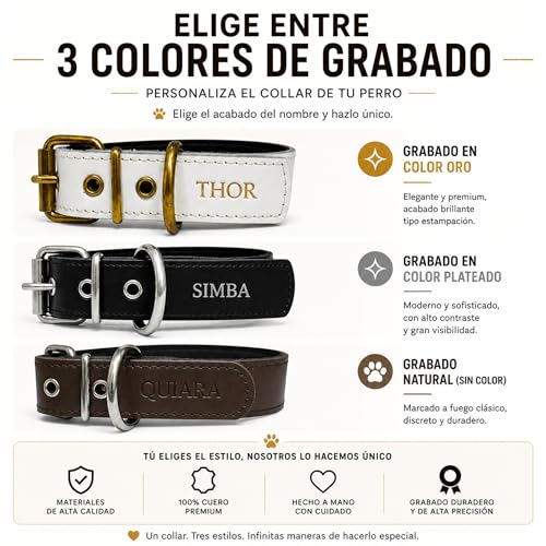 Personalisiertes Leder Hundehalsband mit Namensgravur, Gepolstert (Blau, S: Halsumfang 28- 38 cm)-6