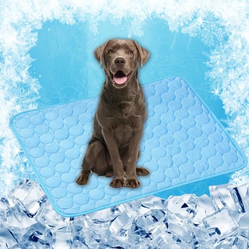 ペット ひんやりマット ペ用ひんやりマ犬猫クール冷却ジェル 62 x 50 cm 暑さ熱中症対策洗える人間兼用冷却シー多途犬猫ベド夏アイスシク小型中型大品, ブルー