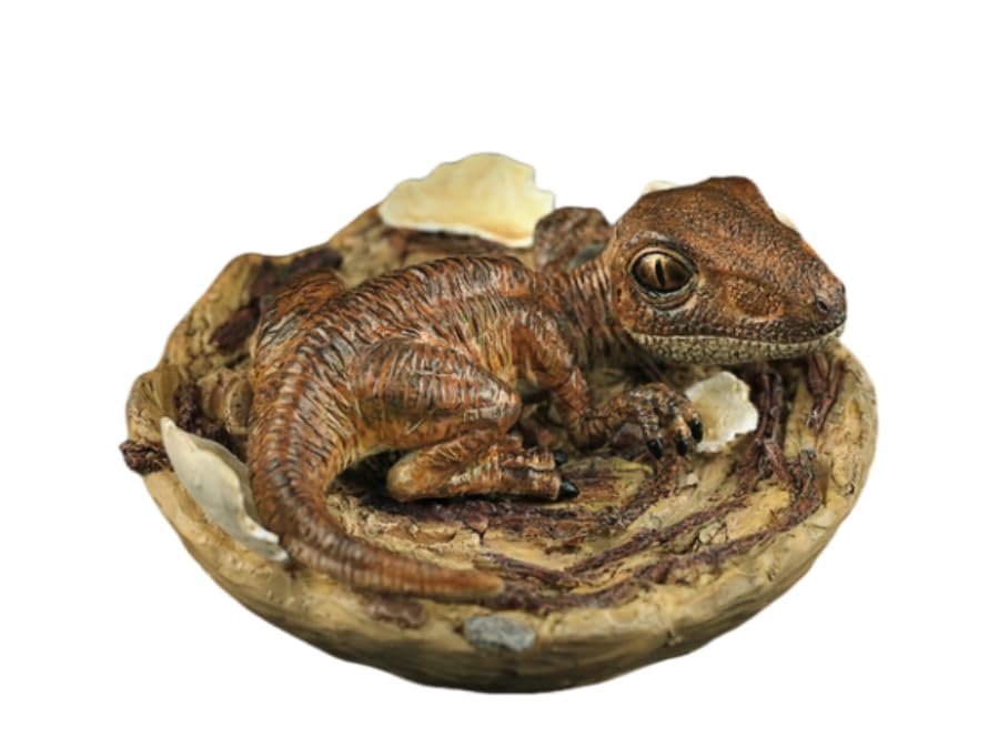 Œuf de dinosaure Velociraptor : une figurine artistique aux détails sculpturaux